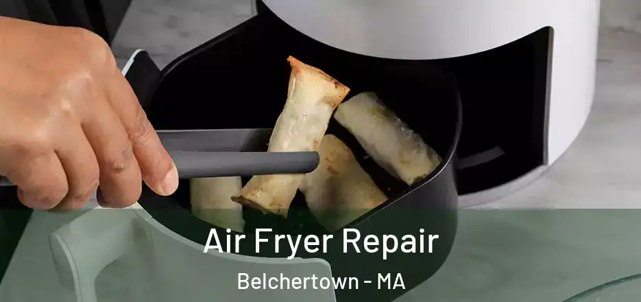 Air Fryer Repair Belchertown - MA
