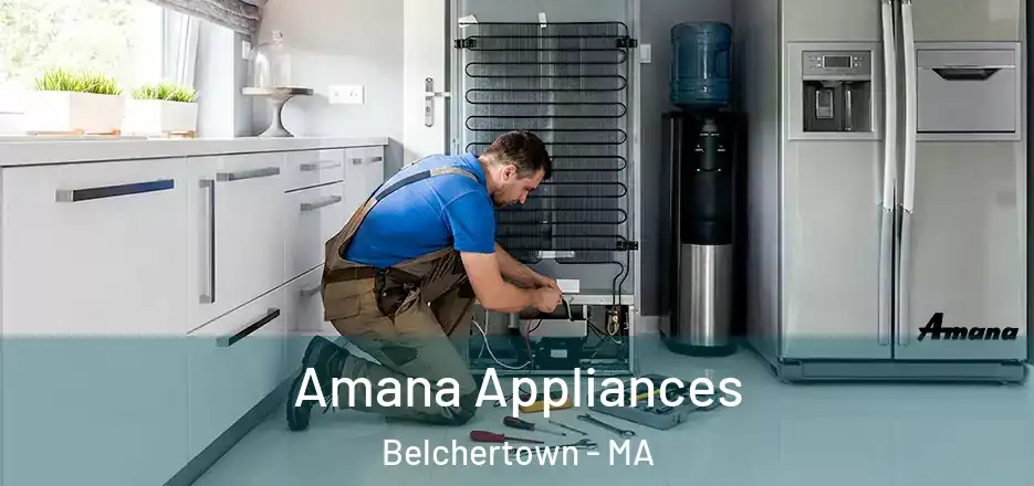  Amana Appliances Belchertown - MA
