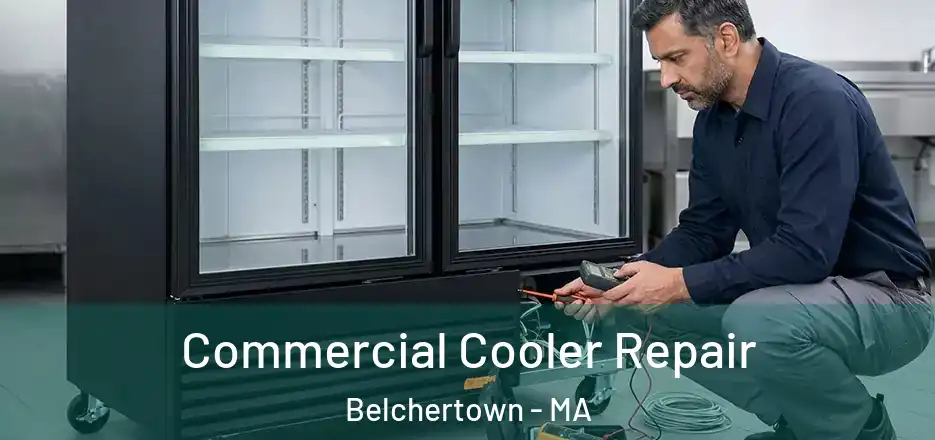  Commercial Cooler Repair Belchertown - MA