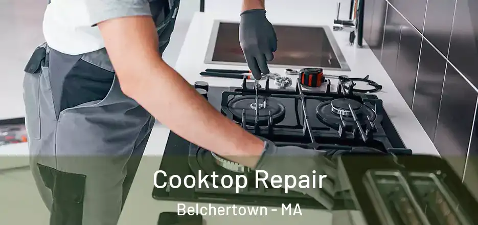  Cooktop Repair Belchertown - MA