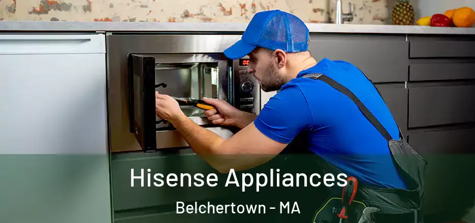  Hisense Appliances Belchertown - MA