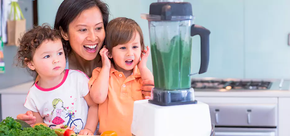 Juicer and Mixer Blender Repair in Belchertown 