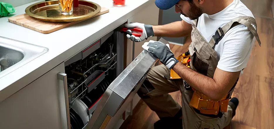 Same Day Dishwasher Not Draining Repair in Belchertown