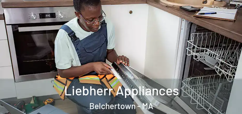  Liebherr Appliances Belchertown - MA