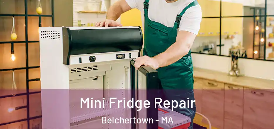  Mini Fridge Repair Belchertown - MA