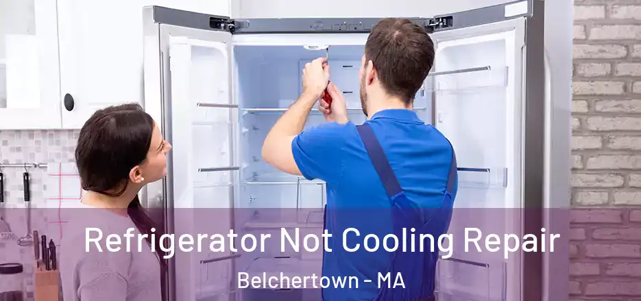  Refrigerator Not Cooling Repair Belchertown - MA