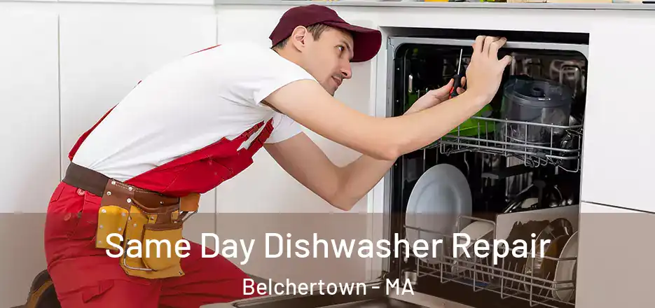  Same Day Dishwasher Repair Belchertown - MA