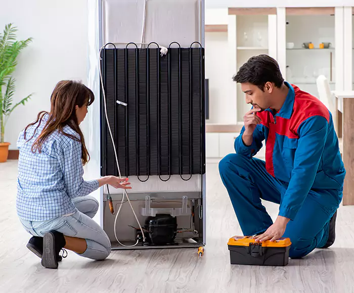 Proven Kenmore Appliance Pros: Your Brand Specialist in Belchertown, MA