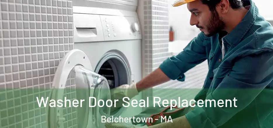  Washer Door Seal Replacement Belchertown - MA